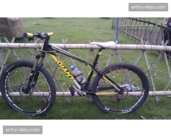 山地车赛事经济效应分析：带动地方旅游、餐饮、住宿等多产业发展