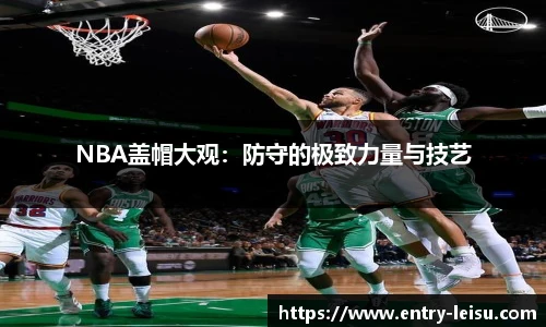 NBA盖帽大观：防守的极致力量与技艺