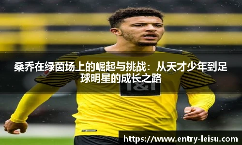 雷速体育比分