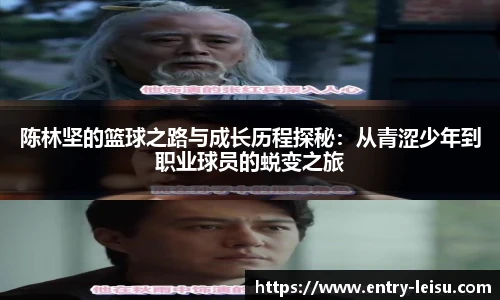 雷速体育